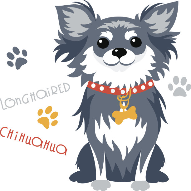 向量搞笑长毛吉娃娃狗坐图片下载