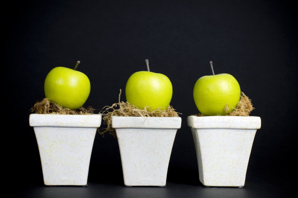 家居装饰,乡村图片下载