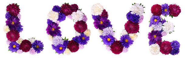 花蕾在白色的背景上形成一封情书。图片下载