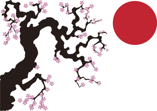 樱花树矢量插图。图片下载