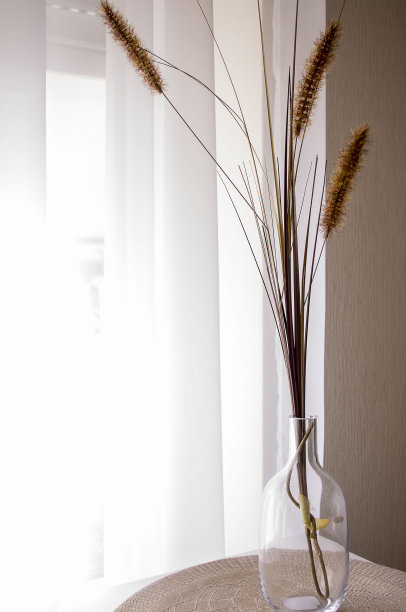 芦苇枝条的装饰图片下载