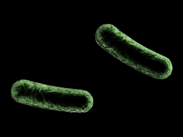 在孤立的黑色背景上有两个绿色的受感染细胞图片下载