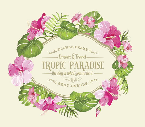 漂亮的卡片图片下载