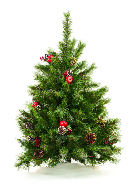 绿色装饰圣诞树孤立在白色的背景。图片下载
