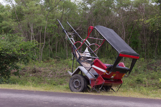 红色的马车沿着道路与树木的背景图片下载