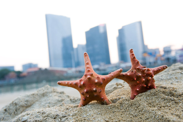 在岸边图片下载