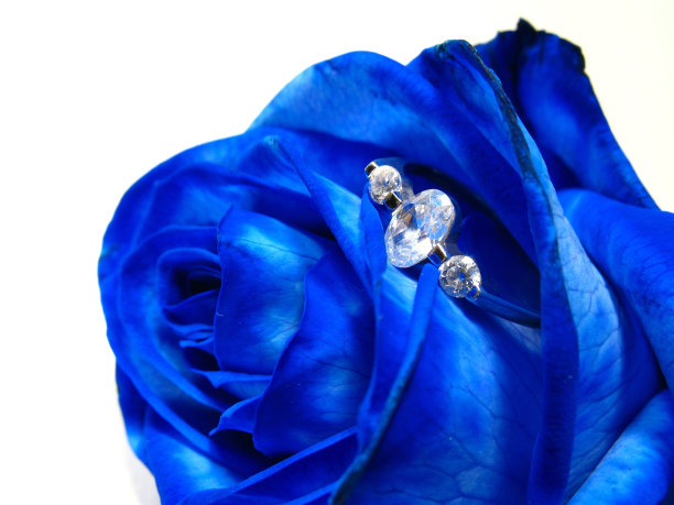 蓝色玫瑰图片下载