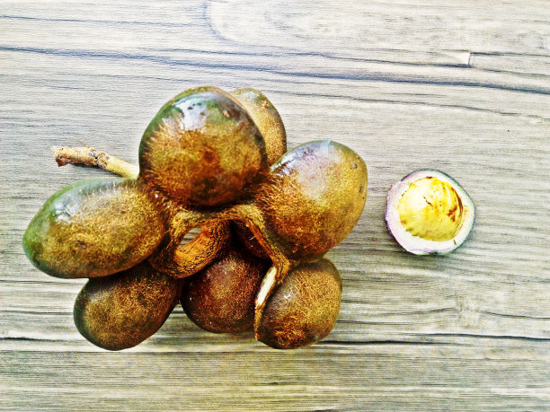 Djenkol 豆或 Archidendron jiringa 种子图片下载