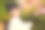 小女孩在花园里玩花。图片下载