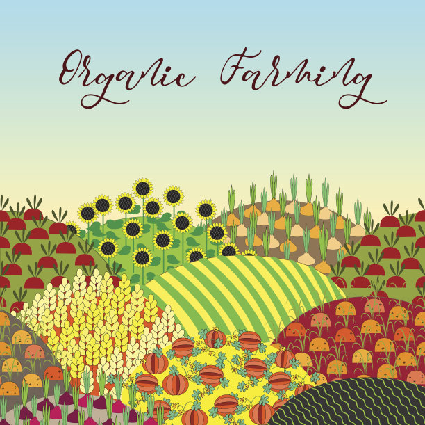 有机农业的背景。格局丰富的田野景观。图片下载