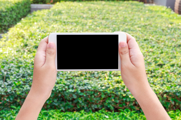 拿着智能手机看屏幕的女人图片下载