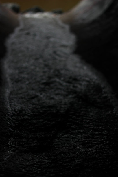 隧道尽头的光图片下载