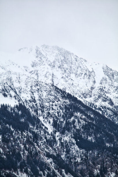 冬天的阿尔卑斯山图片下载