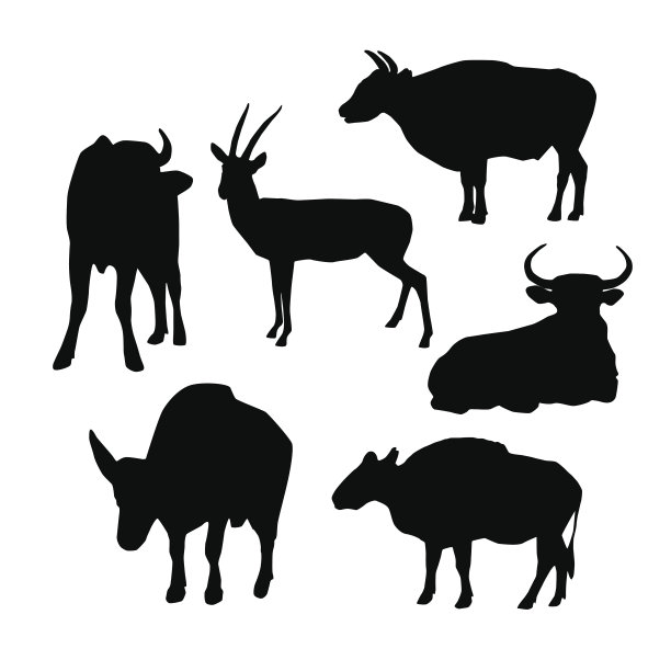 奶牛，公牛和鹿的黑色剪影在白色的背景。向量图片下载