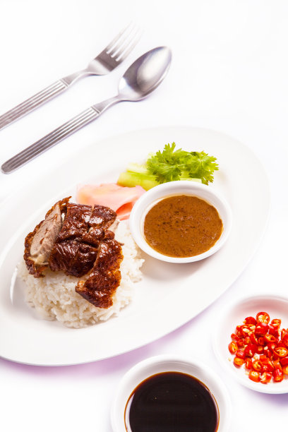 烤鸭饭图片下载