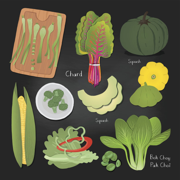 手绘蔬菜插图设置为您的设计。图片下载