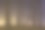 树木森林在深雾的夜晚。图片下载