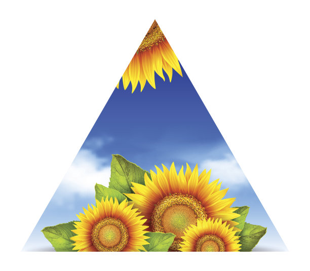 三角形夏季花背景图片下载