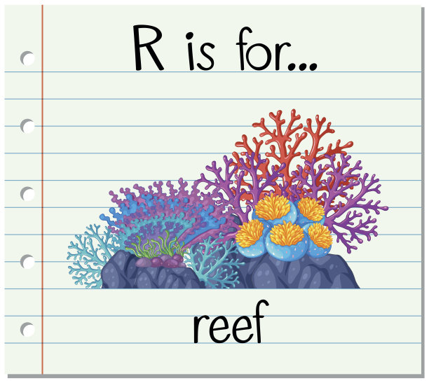 识字卡片上的R代表礁石图片下载