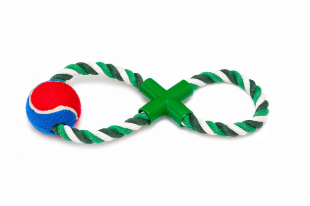 玩具宠物隔离在白色背景图片下载