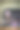 狗和兔耳朵图片下载