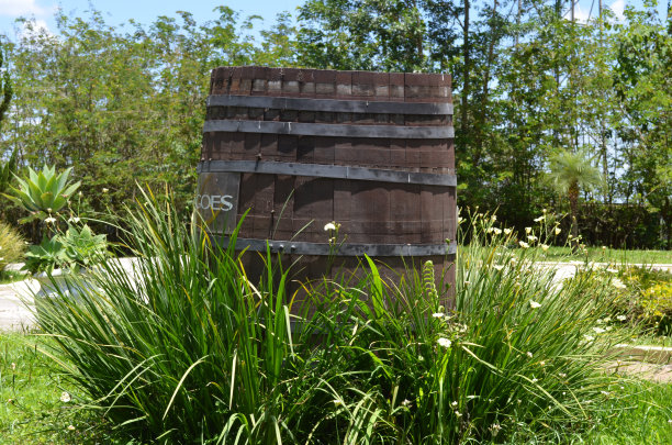 巴里尔图片下载