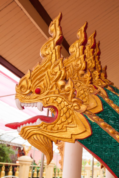 Phaya孩子图片下载