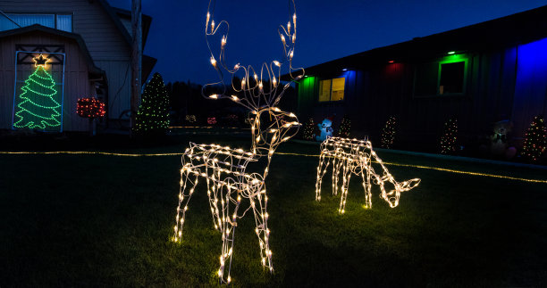 黄昏的驯鹿灯图片下载