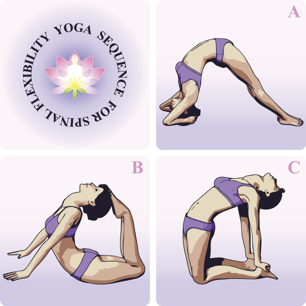 脊椎柔韧性瑜伽序列图片下载