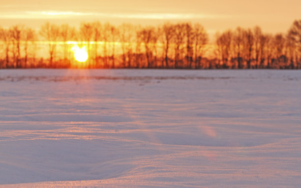 雪地上的日出图片下载