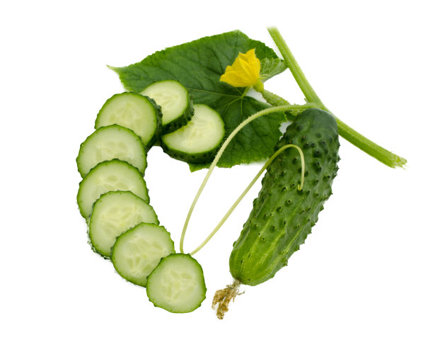 新鲜的黄瓜图片下载