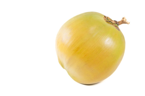 热带椰子图片下载