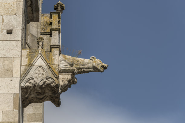 雷根斯堡圣彼得大教堂的人像图片下载