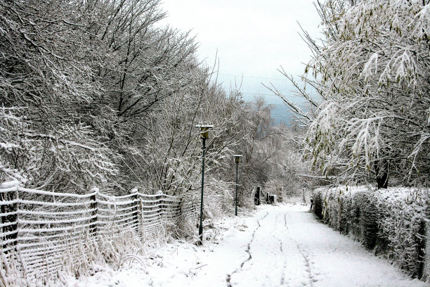 冬天的风景图片下载