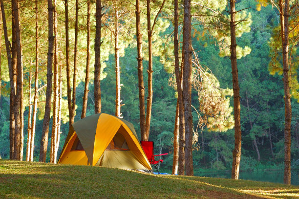 松树林中的探险帐篷图片下载