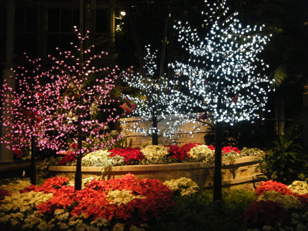 花园里的圣诞节图片下载