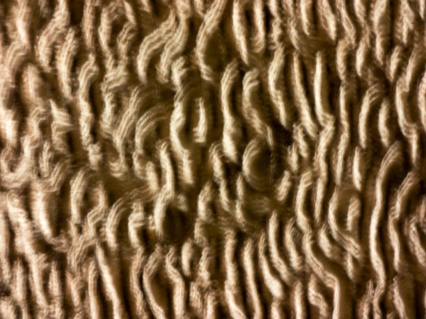 棉花质地。图片下载