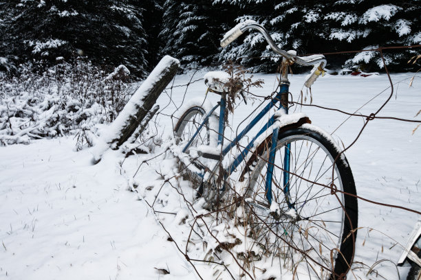 V ?雪中的蓝色图片下载