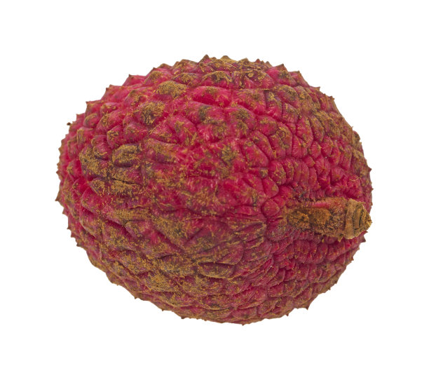 单一的荔枝螺母图片下载