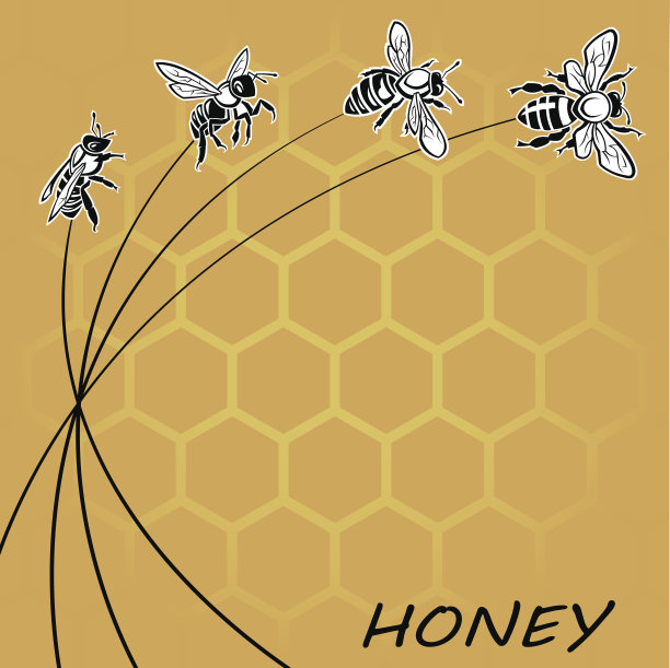 蜜蜂和蜂蜜的背景图片下载