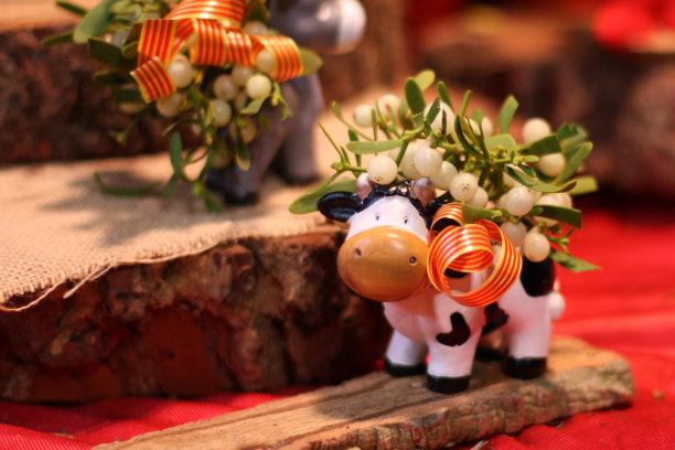 槲寄生在奶牛身上图片下载