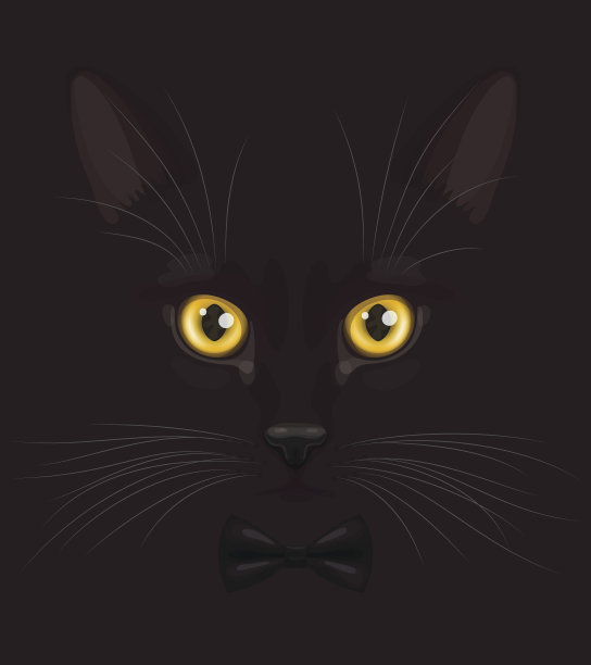 打着领结的黑猫图片下载