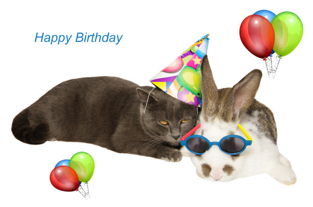 有可爱小狗的生日贺卡图片下载