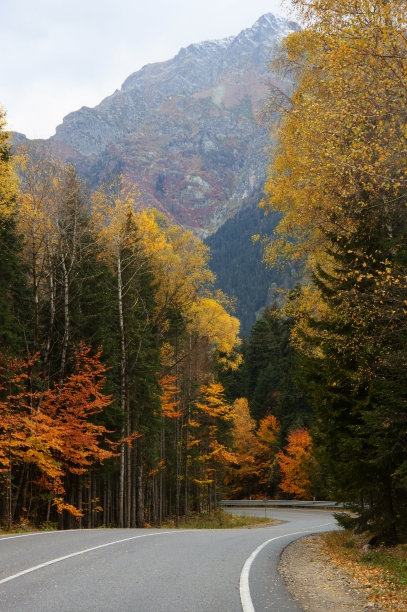 山间秋路图片下载
