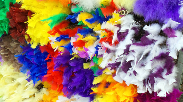 复活节的羽毛图片下载