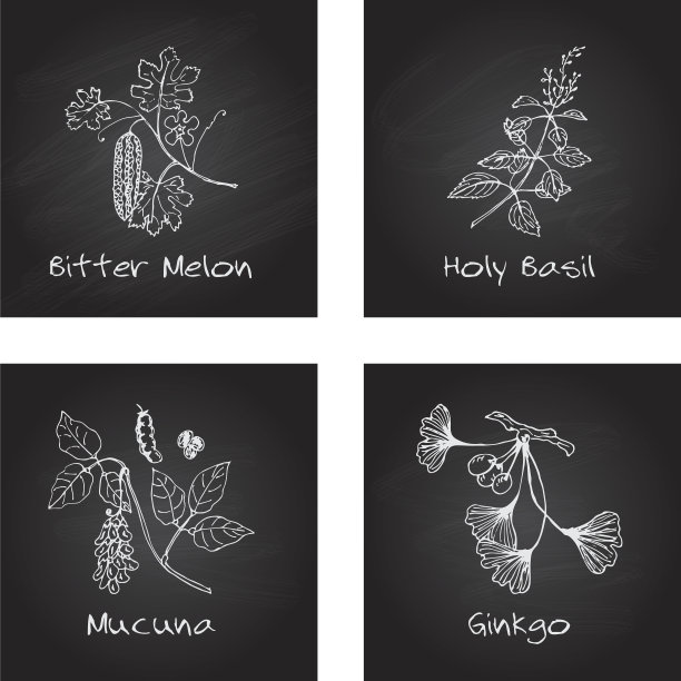 手绘集-阿育吠陀草药图片下载