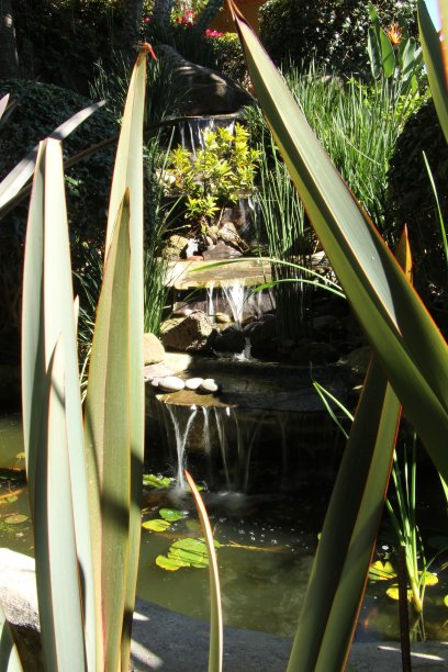 我们花园里的瀑布喷泉图片下载