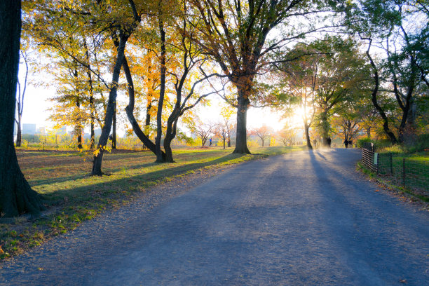秋季中央公园的马道图片下载