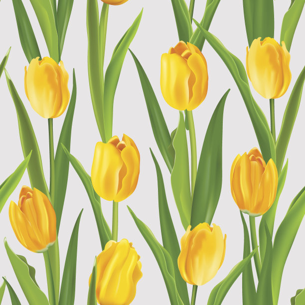 春天的花背景-无缝图案与郁金香素材图片
