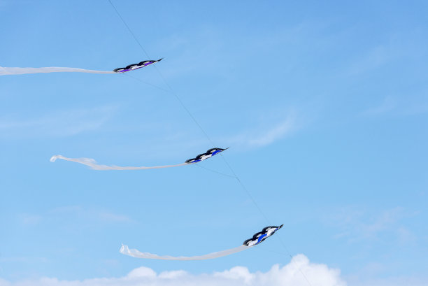 2015年国际Cervia风筝节。图片下载